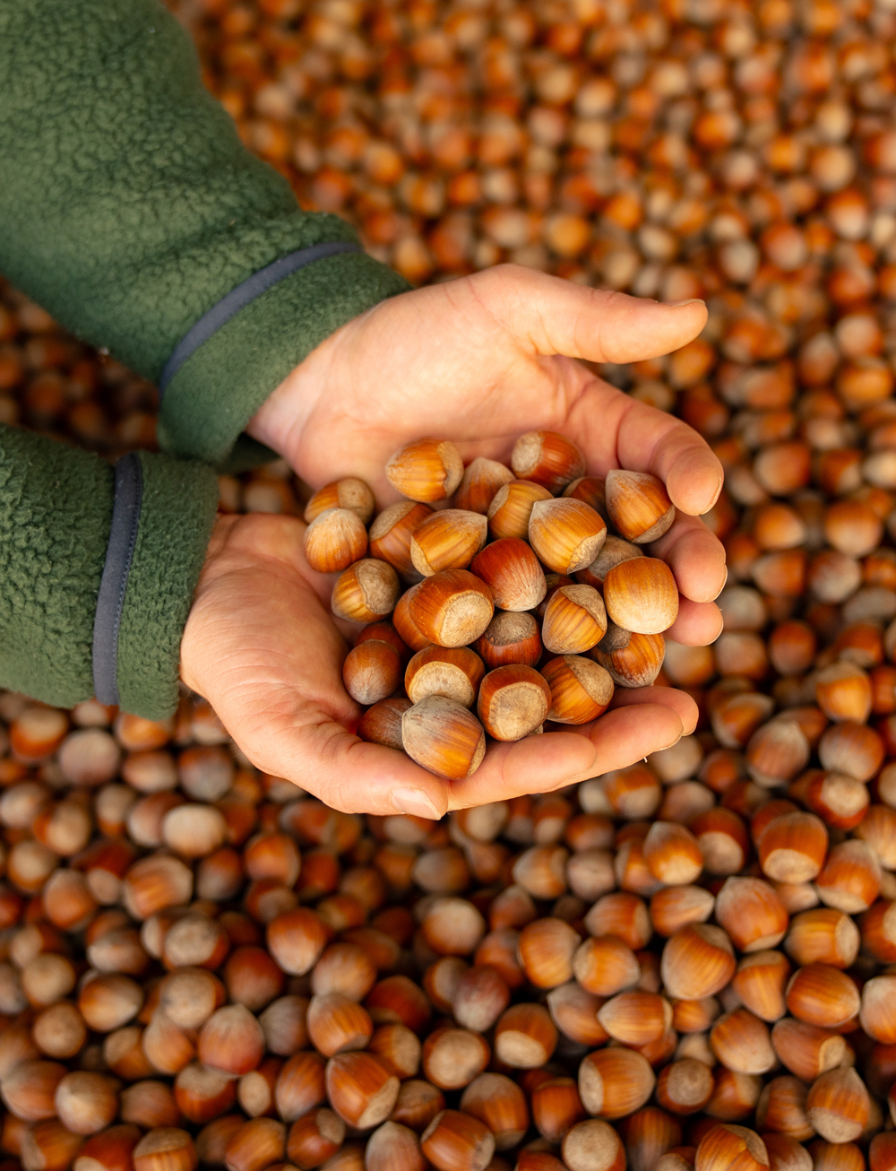 carayon-caroussel-grand-format-7