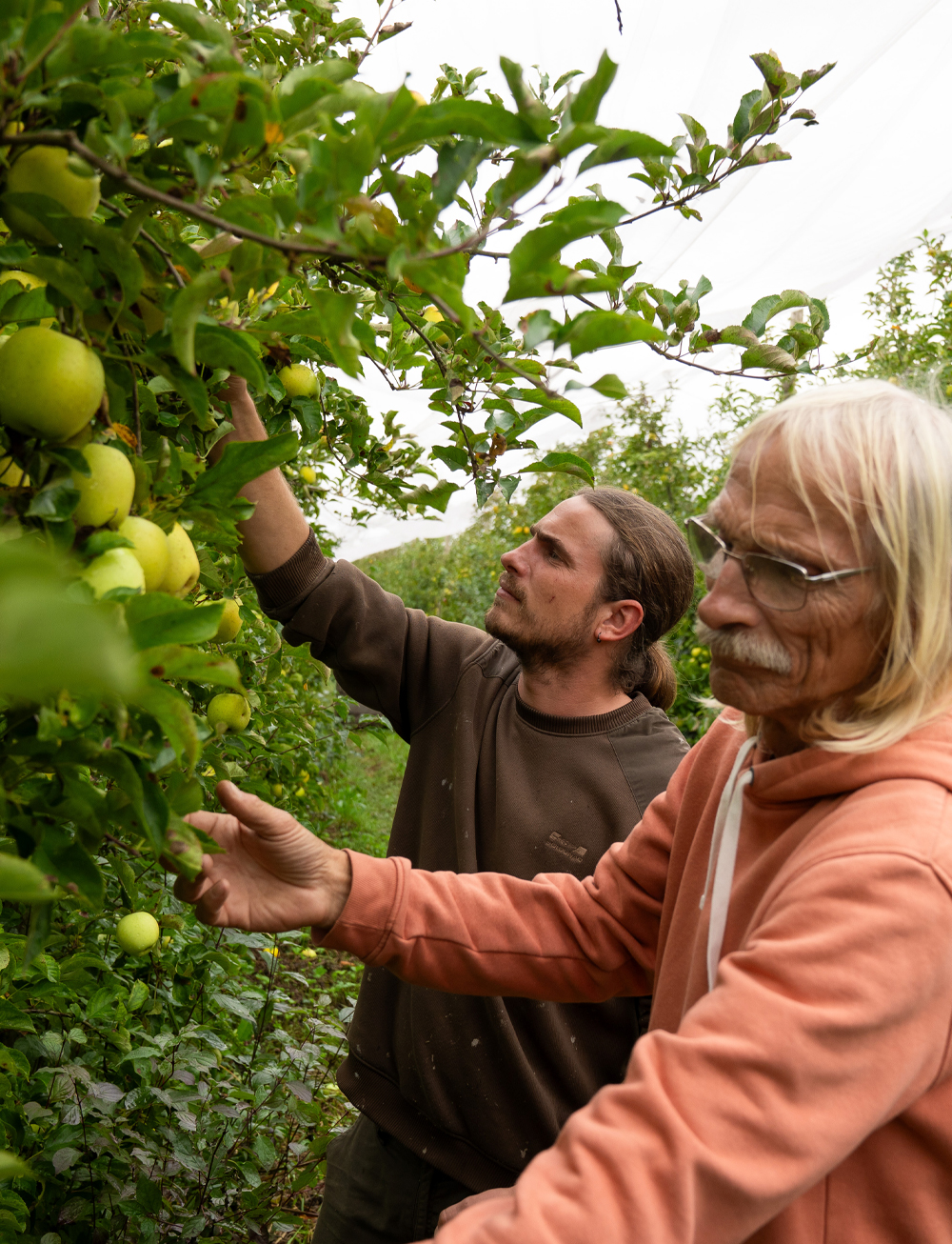 foncoussiere-caroussel-grand-format-8