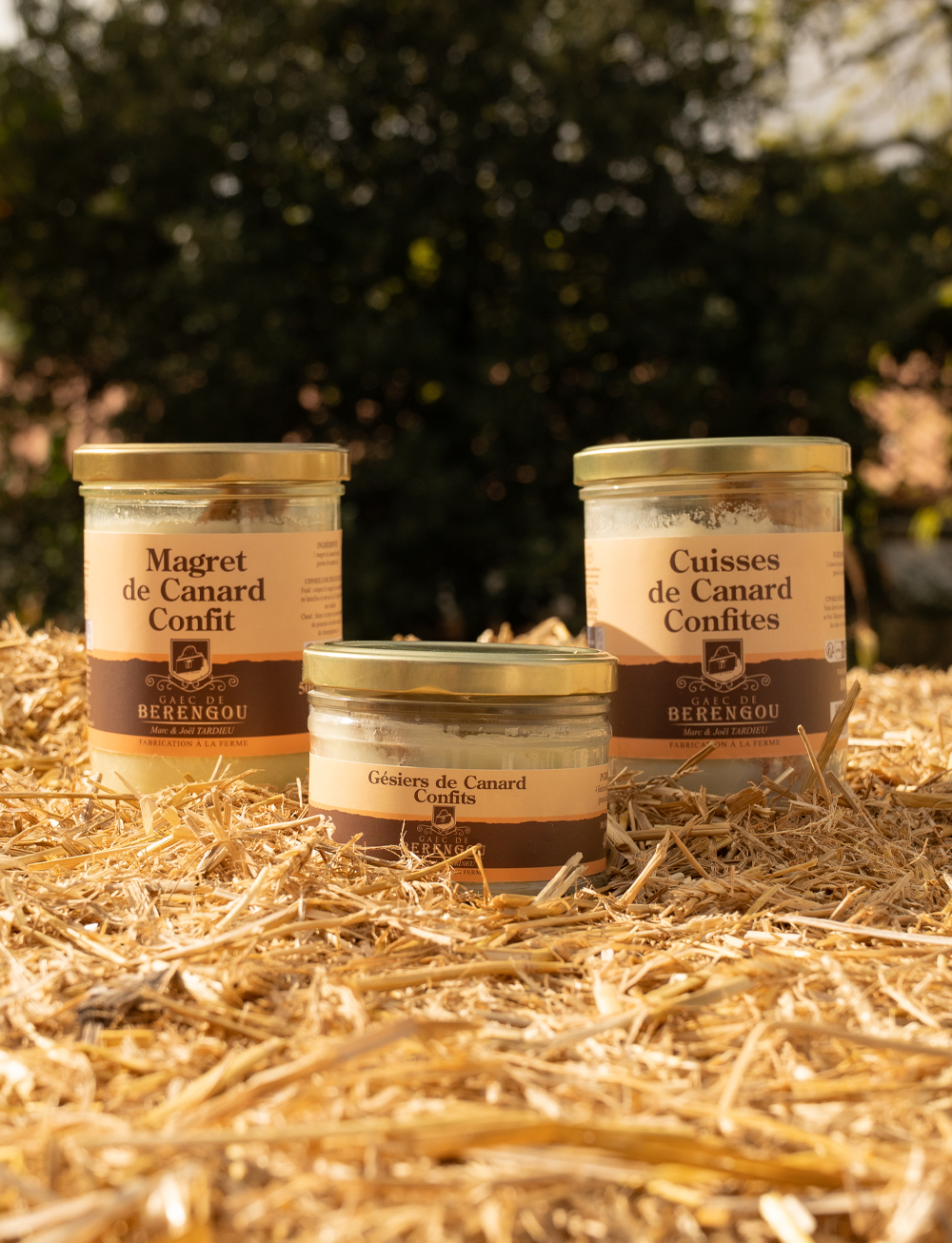 gaec-caroussel-grand-format-2