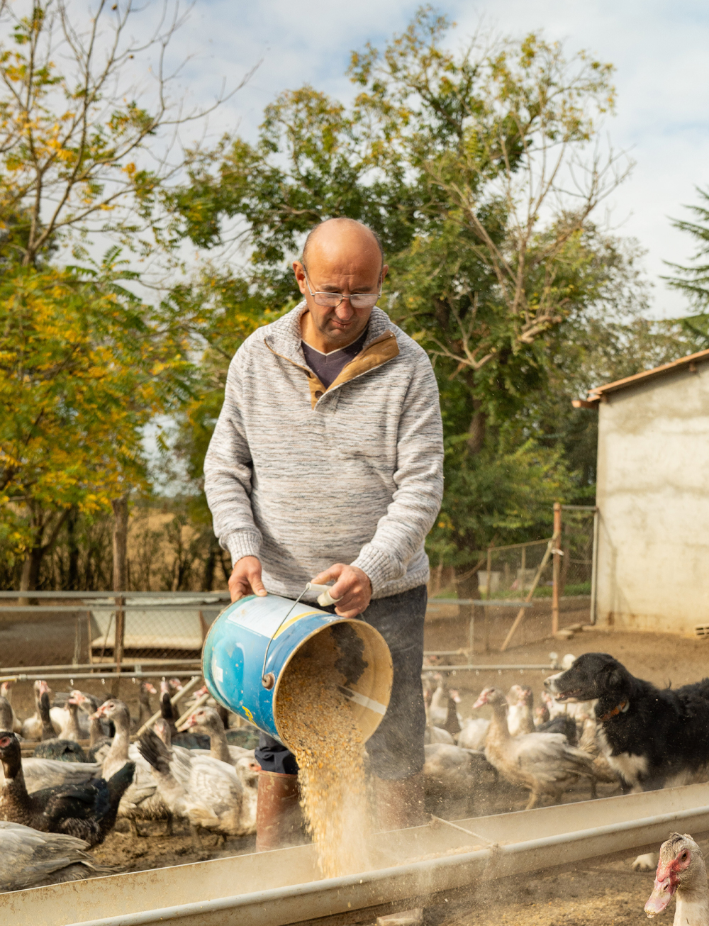 gaec-caroussel-grand-format-4