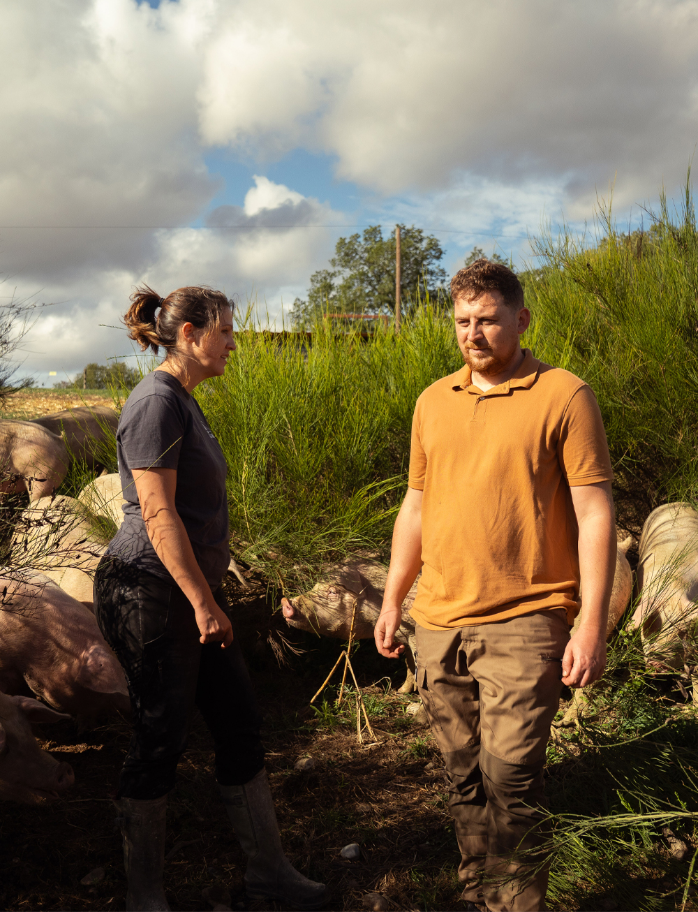 lagrange-caroussel-grand-format-8