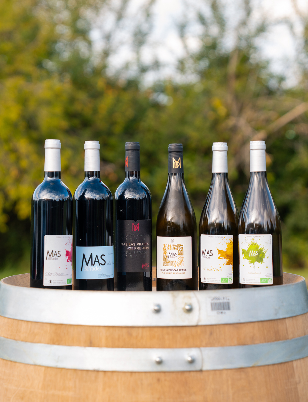 prades-caroussel-grand-format-2