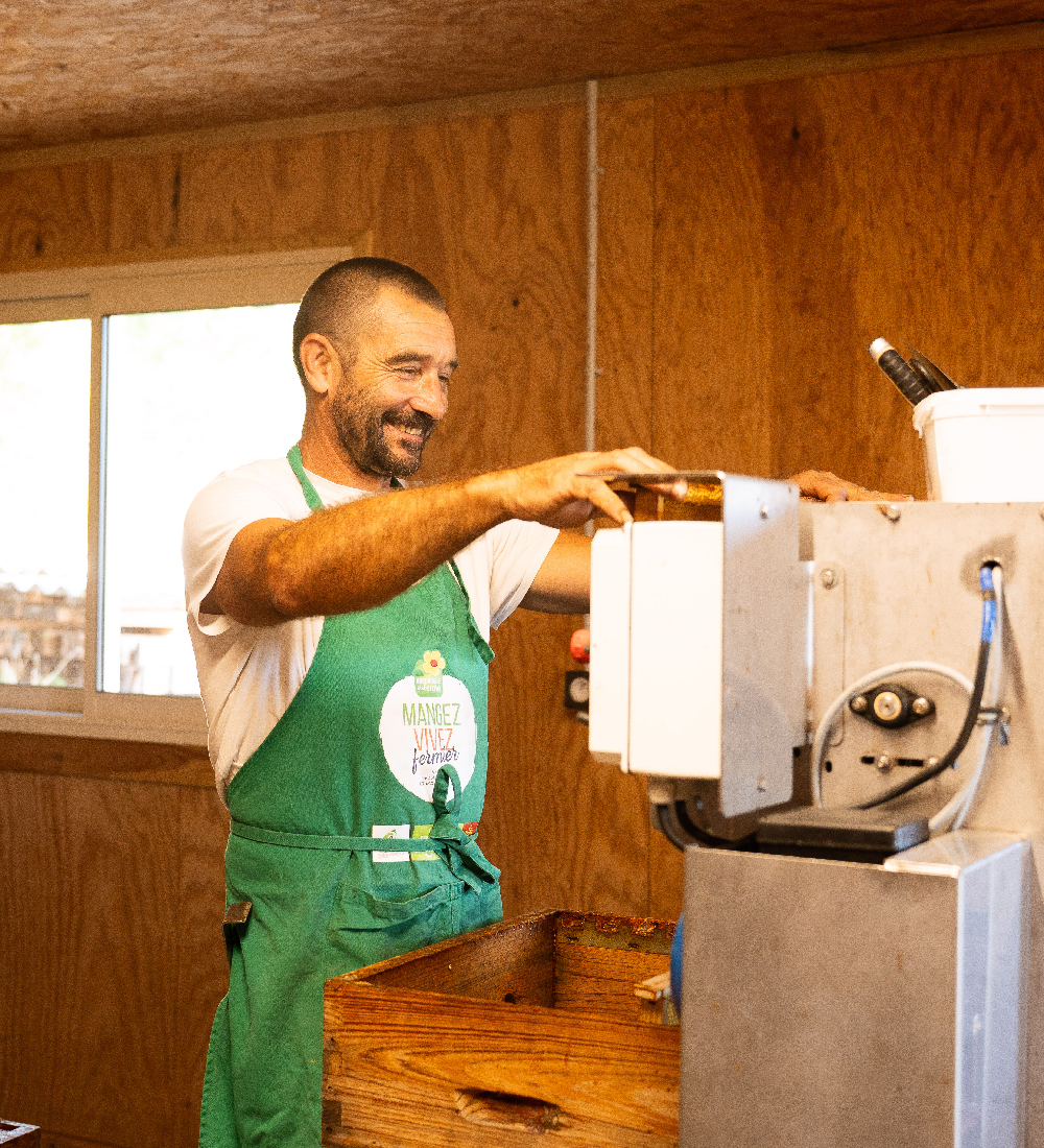 ruchers-de-bohème-1