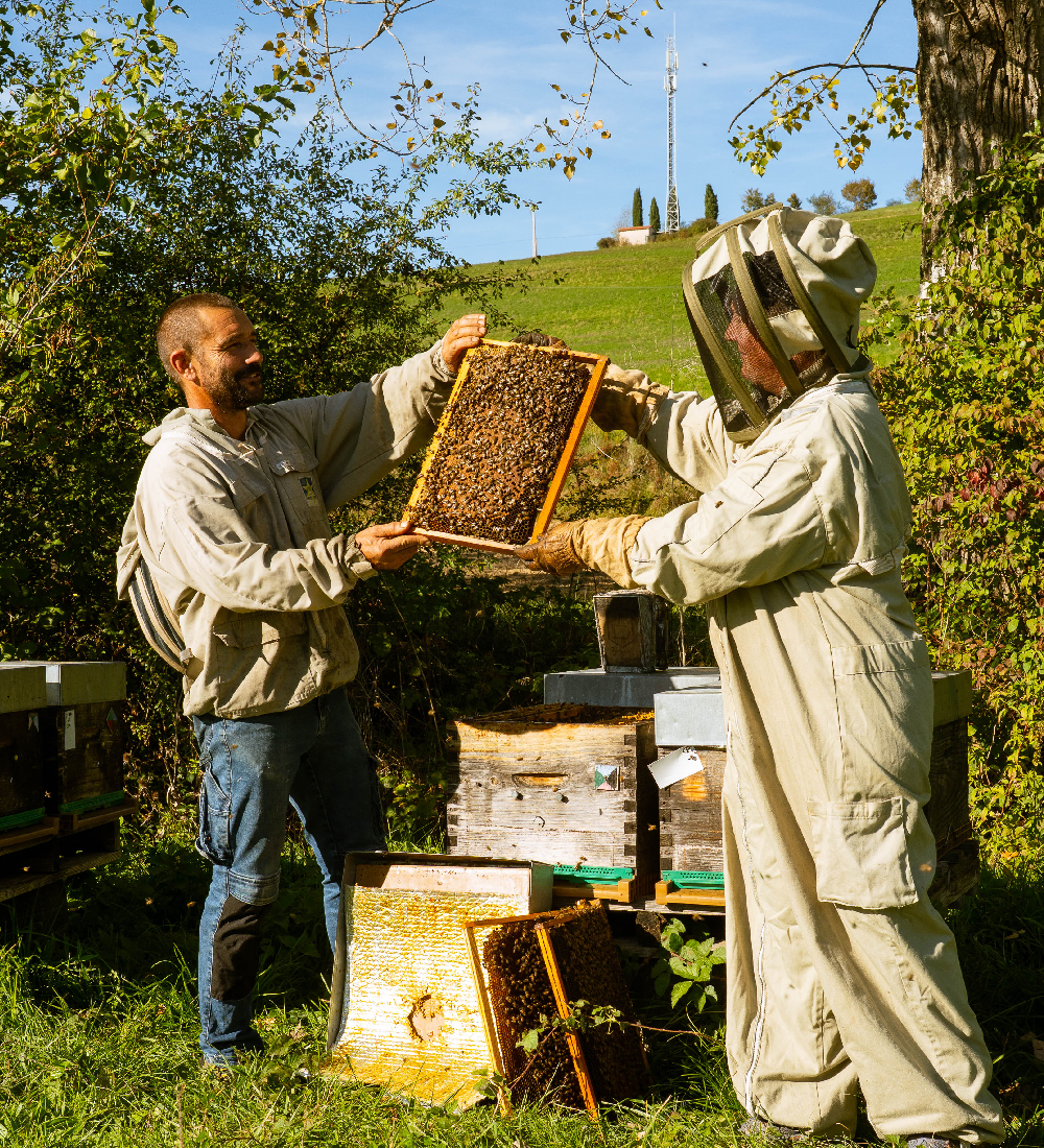 ruchers-de-bohème-3