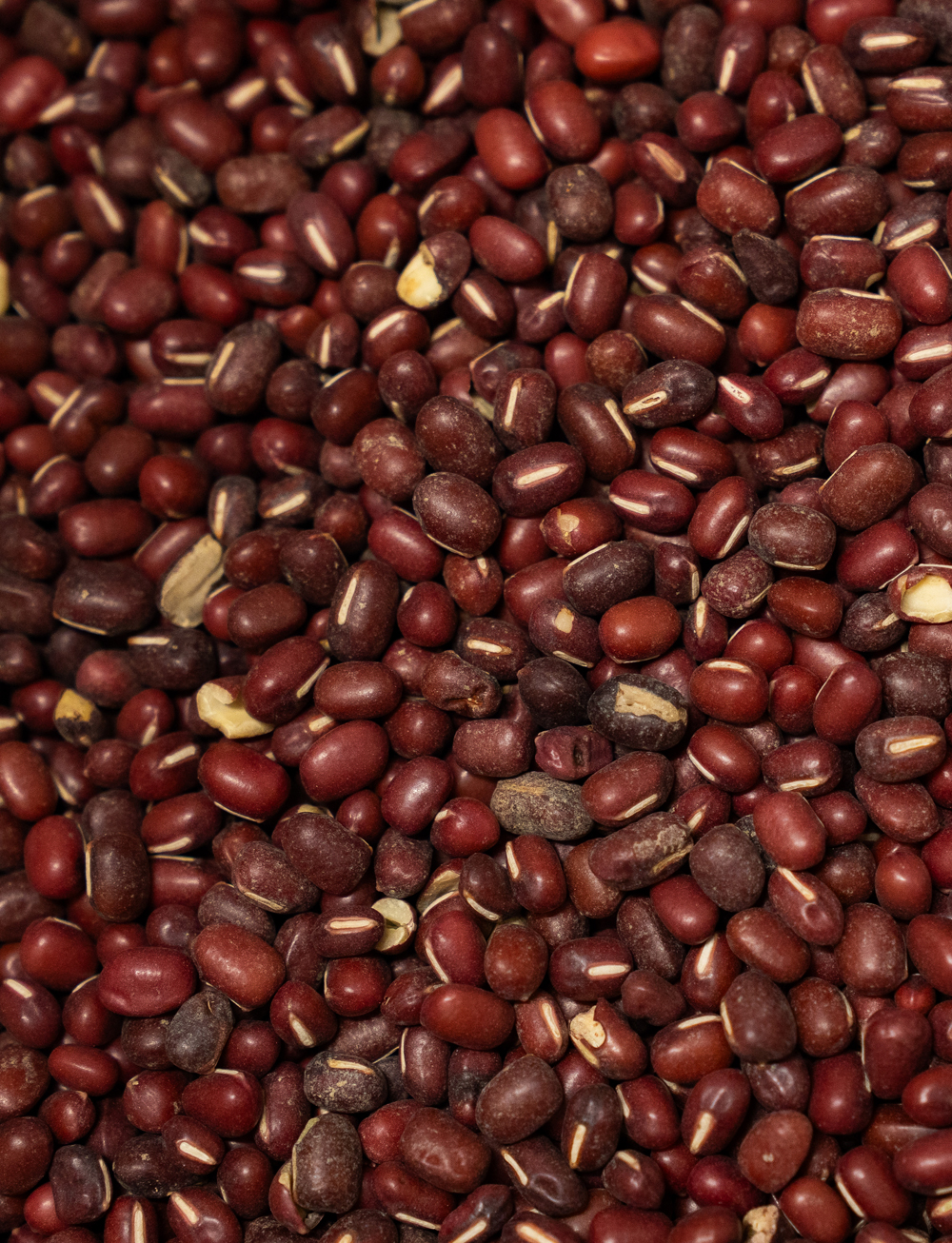 soules-caroussel-grand-format-8