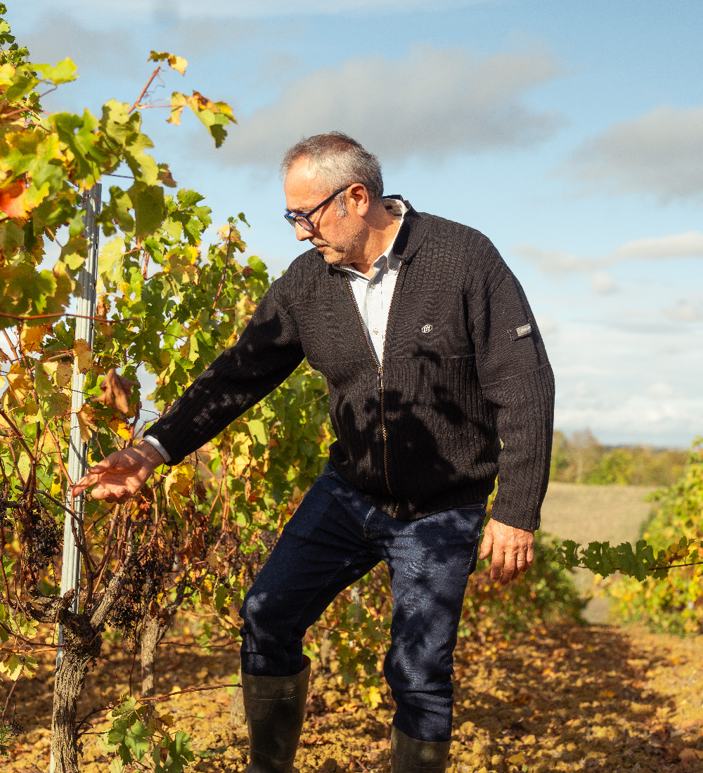 vin-mas-las-prades-1